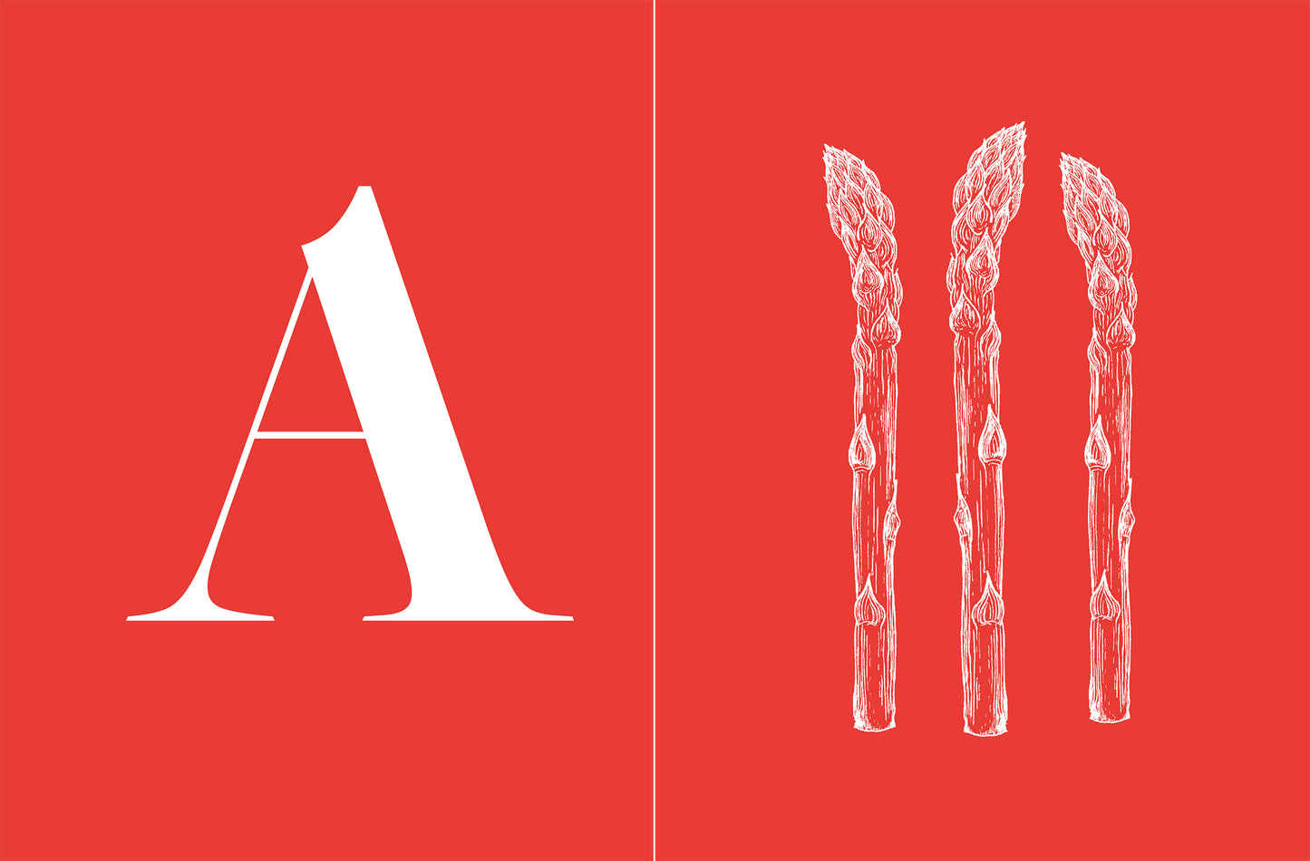 LIVRE DE RECETTES - Le grand livre de la cuisine française