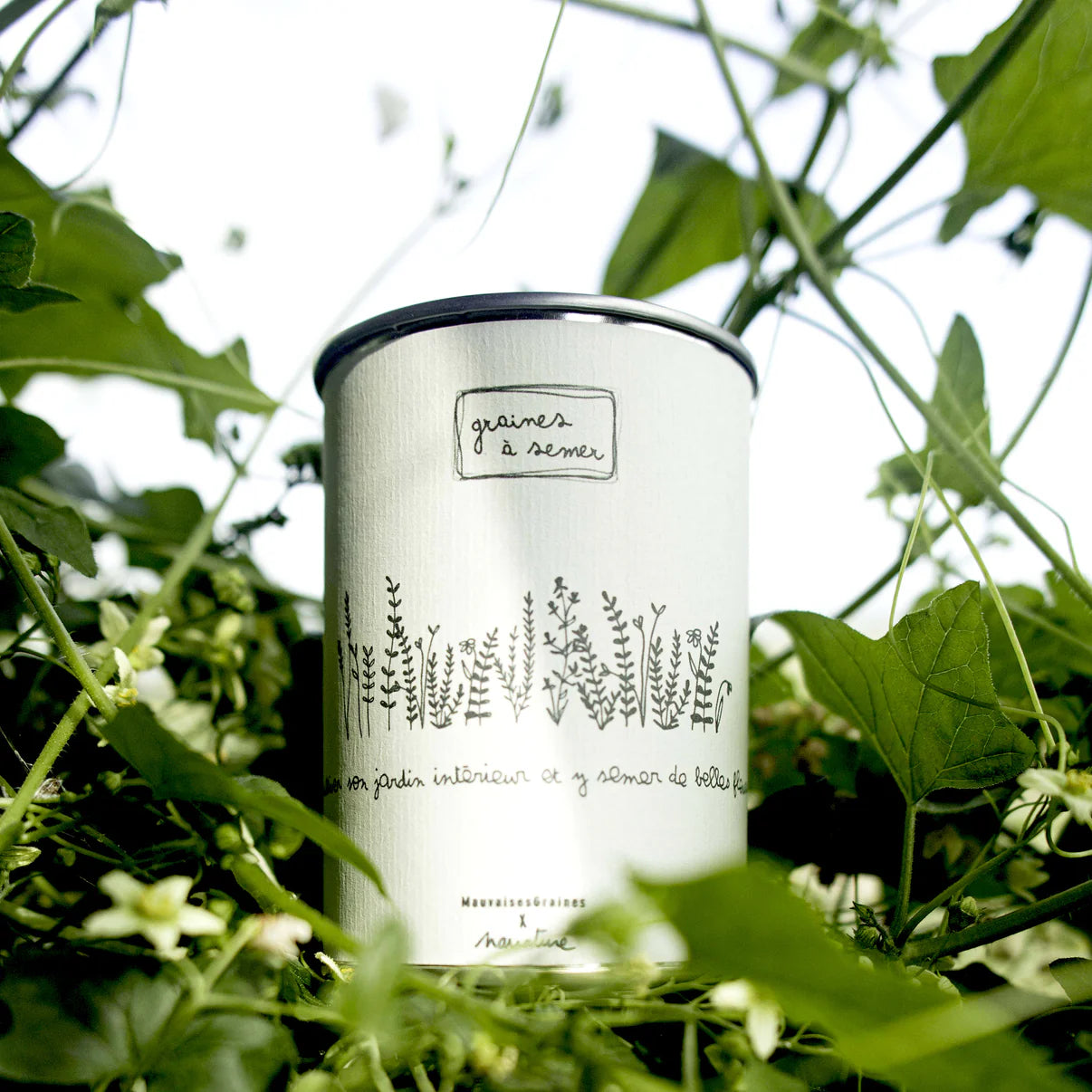 Kit à semer - JARDIN INTERIEUR