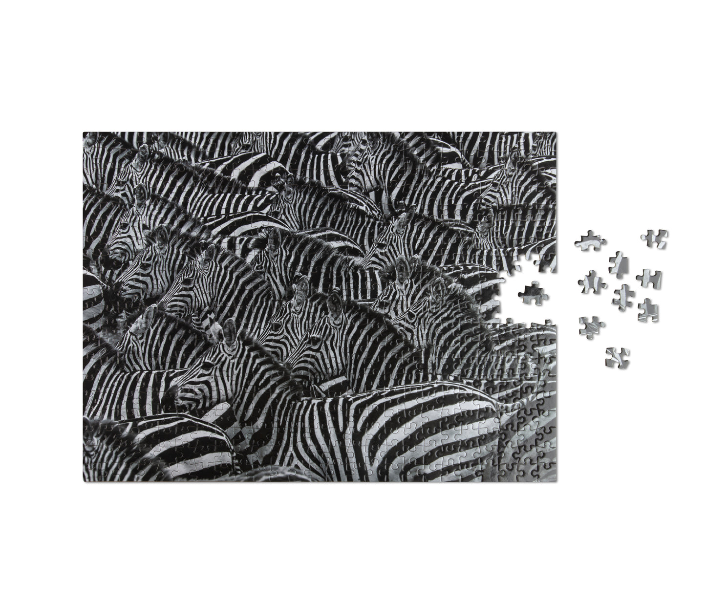 Puzzle Zebra - 500 pièces